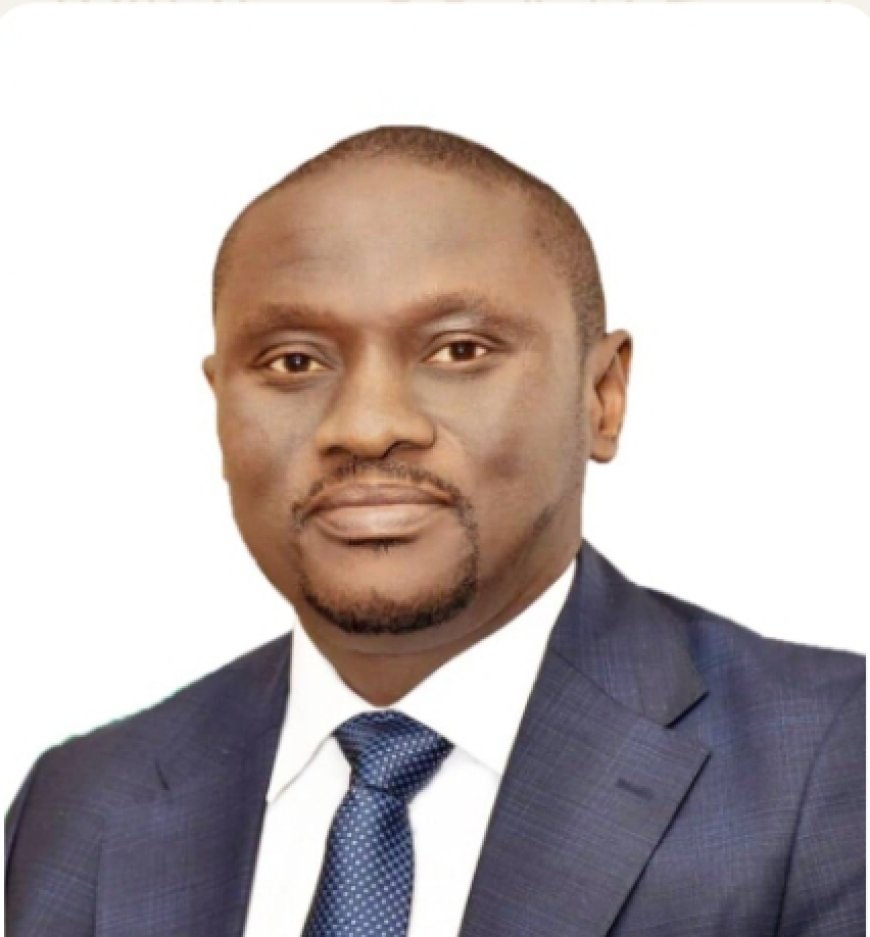 SON Under Dr. Okeke: Driving Innovation, Standardization, and Economic Growth