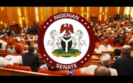 Senate sets to conduct thorough investigation into the aviation sector