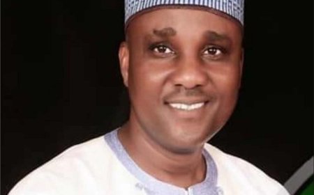 *2 Years in Office: Speaker Abbas Leadership and Stability of 10th House of Representatives