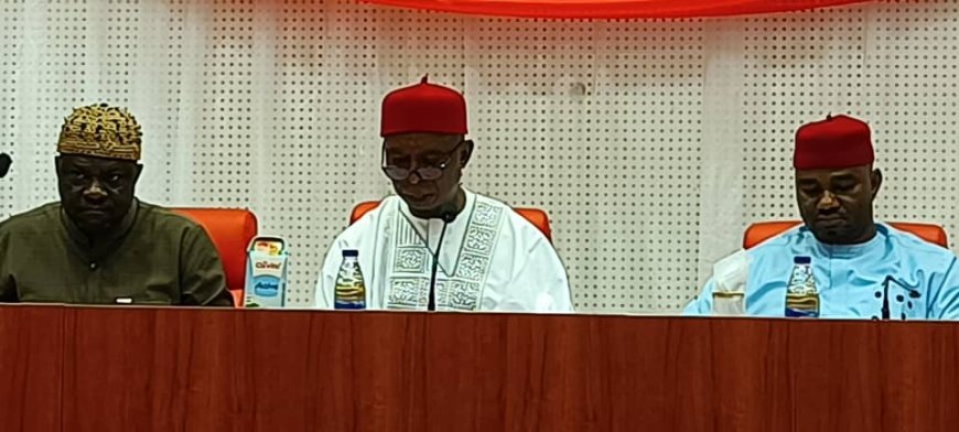 Senate Committee on Reparations Set to address centuries-old injustices on  slavery, colonialism, looted cultural artefacts, heritage materials