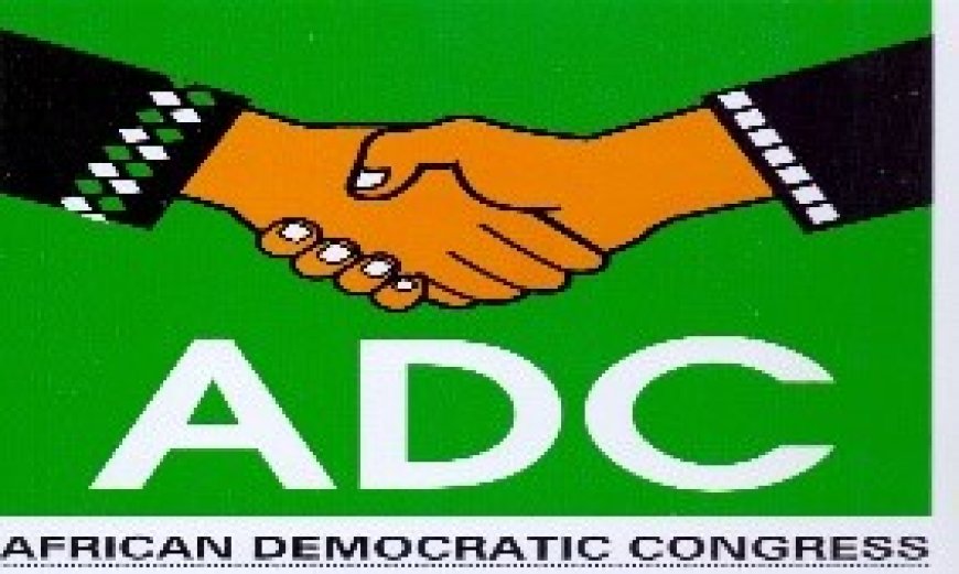 ‎*External Borrowing: TMSG slams ADC over President Tinubu's plans*