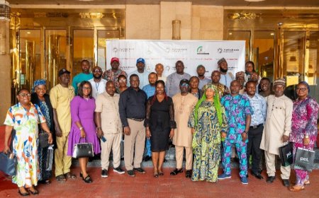 Aig-Imoukhuede Foundation Launches Capacity Programme for Public Planners