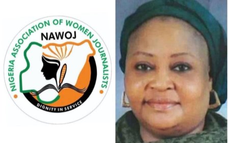 NAWOJ  partners SMEDAN to Empower Female Journalists in FCT .