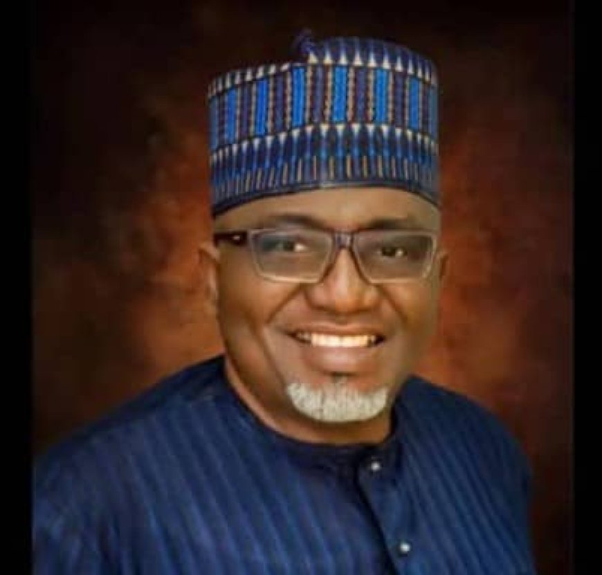 Advocacy Statement: Retaining National Institutional Memory The Case For Extending Mr. Rawlins Agada's Service To The Nation