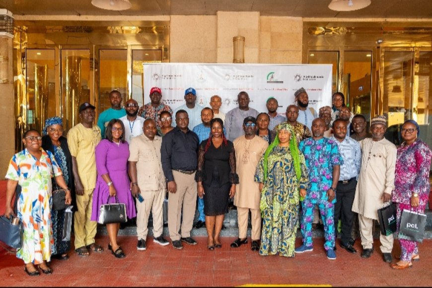 Aig-Imoukhuede Foundation Launches Capacity Programme for Public Planners