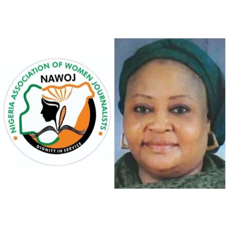 NAWOJ  partners SMEDAN to Empower Female Journalists in FCT .