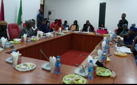 From Imports to Innovation: Senate, NADDC Partner to Build Nigeria’s Automotive Future