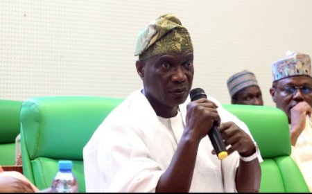 Unpaid Bird Flu Compensation: Reps Launch Investigation, Seek Justice for Farmers