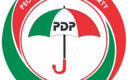 PDP appoints Barr. Ekuma Chairman, Idika Secretary, others Members of Ebonyi Caretaker C'mtte