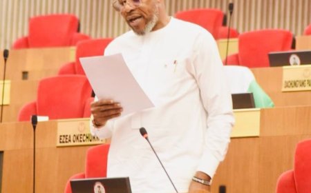 Senate Confirms Hon. Ayo Hulayat Omidiran as FCC Chairman, 37 Others as Commissioners