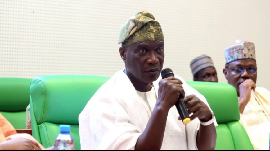 Unpaid Bird Flu Compensation: Reps Launch Investigation, Seek Justice for Farmers