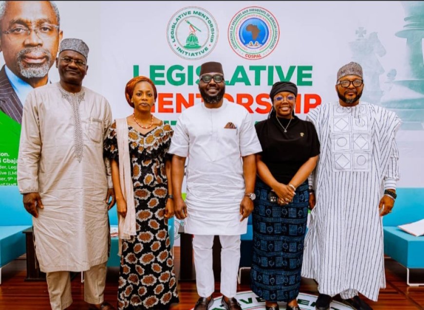 NTAC DG,Buba Yakub, Identifies Nigeria as Highest Exporters of Labour,Says Nigerian Demography Positive* *_Pledges to Partner with Mentees of the Legislative Mentorship Initiative (LMI) Fellowship Programme for Broader Promotion of their Skills and Expertise_