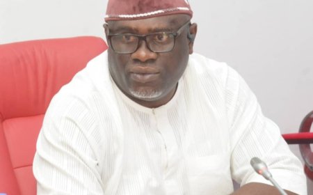 Senator Bassey Outlines Agenda for Diaspora Committee, Promises Stronger Protection for Nigerians Abroad