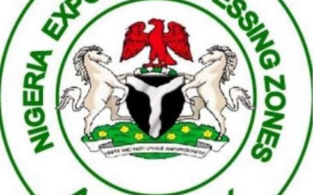 NEPZA Seeks 10-Year Tax Relief for Special Economic Zone Investors