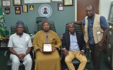 Danzaria Receives Leadership Award, Recounts Journey Through National Assembly’s Administrative Ranks