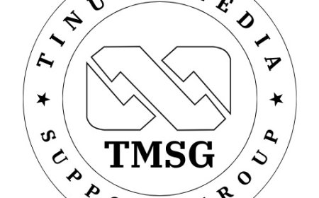 *NASS, not Atiku, can legislate tax laws for Nigerians -TMSG*