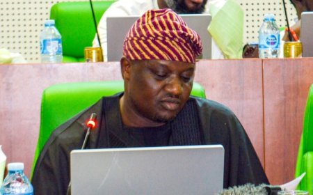 National Assembly Opens Investigation into Port, Airport Concessions