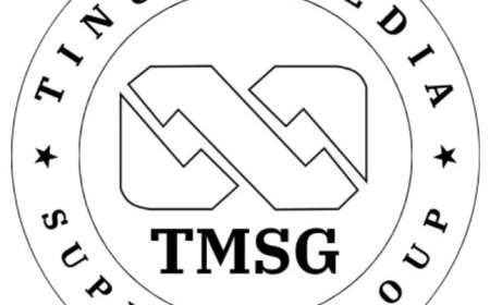 Tinubu’s Tax Reforms to Boost VAT Allocations to States, LGAs – TMSG