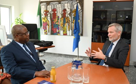 NEPZA Strengthens Partnership with EU, Urges Investment in Special Economic Zones