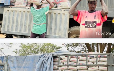 Bespoke Urban Luxury Ltd Donates 600 Bags of Cement to Boost NUJ FCT Ultramodern Congress Hall Project