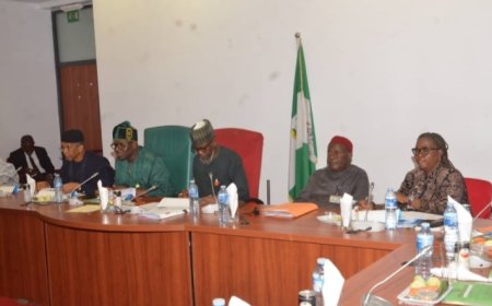 NASS Approves NEPAD 2025 Budget Performance, Seeks Clarifications on Fund Releases and Compliance Gaps