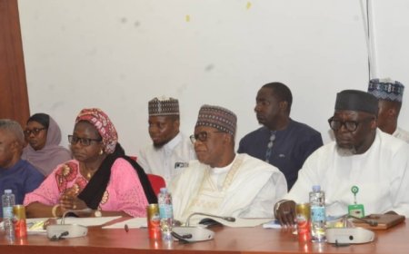 Zero Capital Release: NASS Grills Regional Development Minister Over 2025 Budget Failure