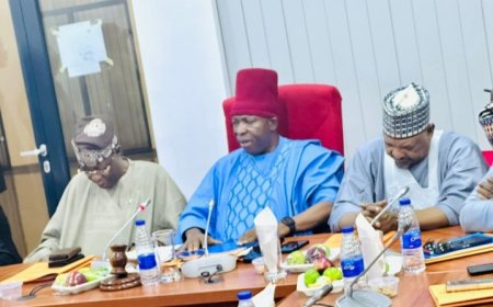 Senate Seeks First-Line Charge for NPC, Laments Zero Capital Fund Release