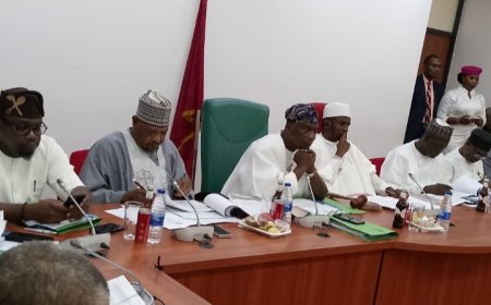 NASS Queries Zero Funding for Livestock Ministry, Demands Accountability at 2025 Budget Defence