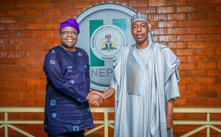 **NEPZA, Borno Govt., Aiming to Revamp Banki FTZ**