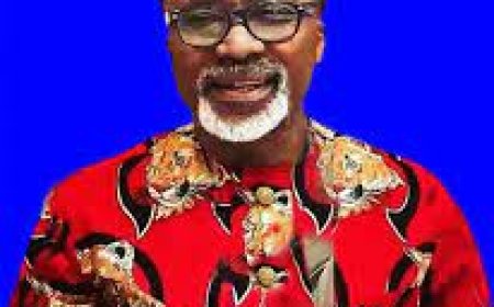 Political Defections and Democratic Balance: Reflections on Enyinnaya Abaribe’s Recent Move