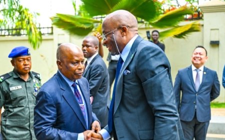 Reps to Fast-Track Ratification of International Humanitarian Law Treaties — Kalu