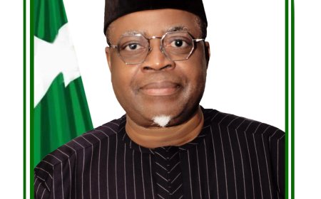 UK–Nigeria Trade & Investment Partnership: NEPZA Positions for Strategic Gains