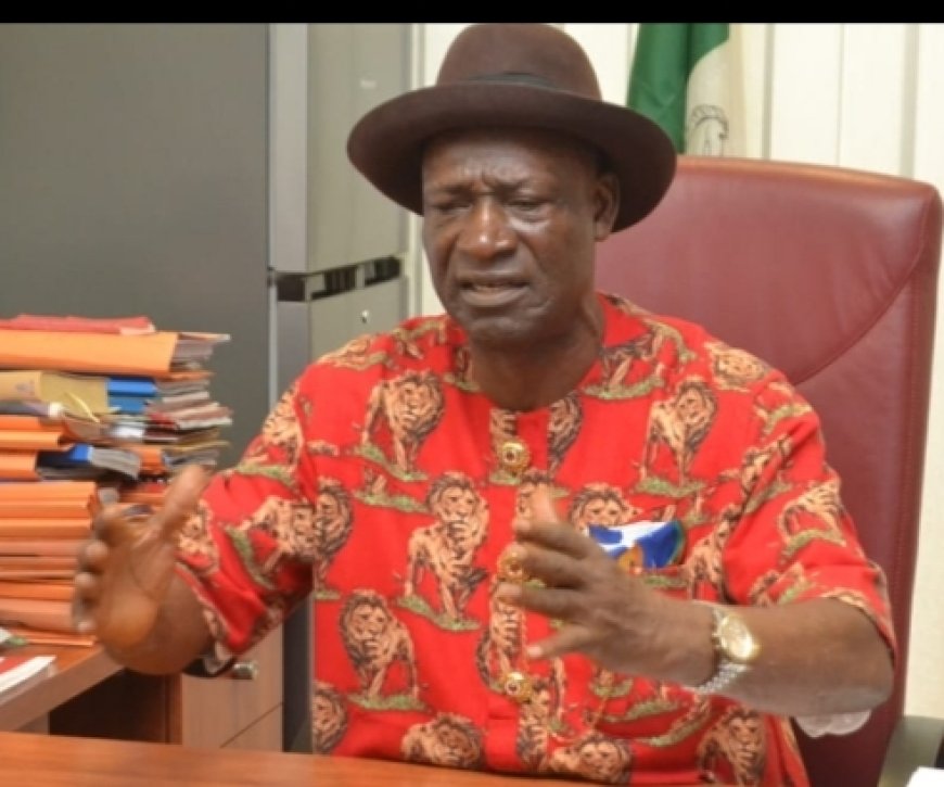 Nigeria Ripe for Decentralised Policing, Says Senator Agadaga, Backs State and Regional Security Structure