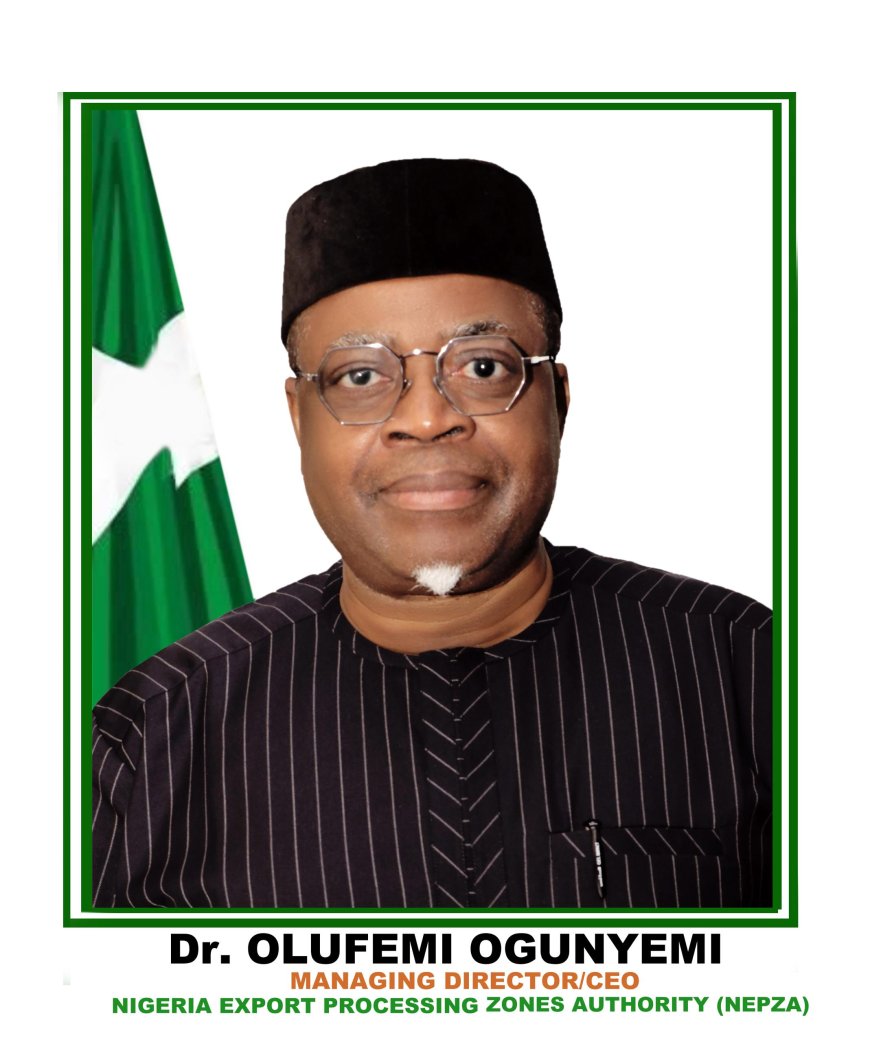 UK–Nigeria Trade & Investment Partnership: NEPZA Positions for Strategic Gains