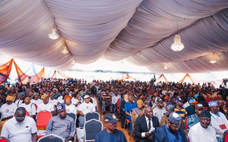 Renewed Hope in Action: Nentawe Yilwatda Drives Youth Empowerment with ₦280 Million Support Package