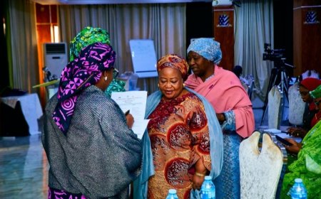 NAWOJ Joins Stakeholders at Gender-Based Violence Workshop in Abuja