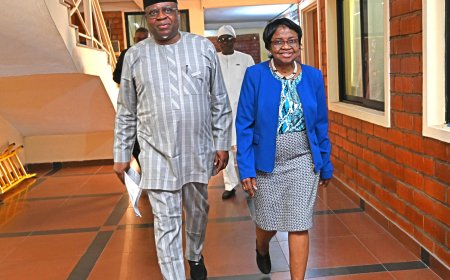 NEPZA, NAFDAC Deepen Partnership to Strengthen Regulation of Pharmaceuticals, Consumables in Free Trade Zones