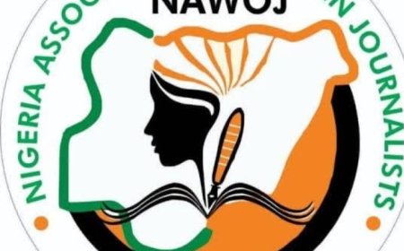 NAWOJ, PLAN INTERNATIONAL BEGIN IMPLEMENTATION OF PARTNERSHIP AGREEMENT