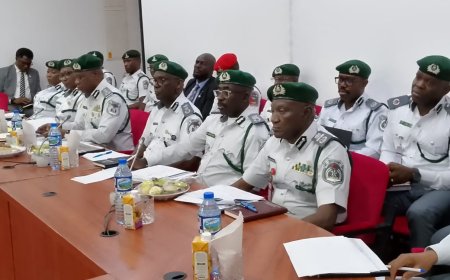 Senate Committee Backs Customs' 2026 Budget as NCS Beats Revenue Target