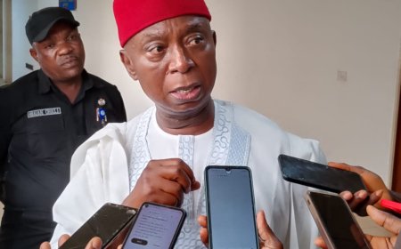 Ned Nwoko Renews Push for Self-Defence Bill, Seeks Licensed Firearm Ownership for Responsible Nigerians