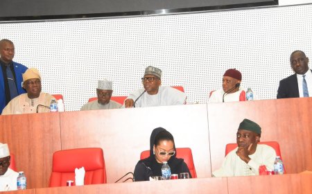 Debt: Tinubu Has Not Borrowed N80 Trillion, Oyedele Tells Senate