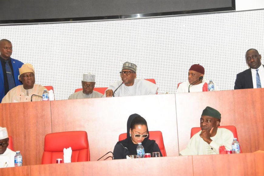 Debt: Tinubu Has Not Borrowed N80 Trillion, Oyedele Tells Senate