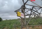 TCN DECLARES FORCE MAJEURE ON 132KV BIRNIN KEBBI–NIAMEY TRANSMISSION LINE OVER TOWER COLLAPSE