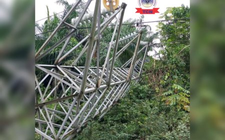 Five Transmission Towers Collapse on Ikot Abasi–Eket 132kV Line After Severe Vandalism