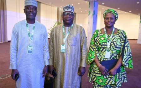 NCC Calls for Stronger African Regulatory Collaboration, Evidence-Based Telecoms Regulation