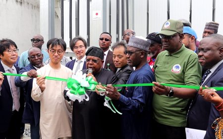 Power Minister Commissions Major Transformer Projects in Four Lagos Substations, Adds 840MVA Capacity