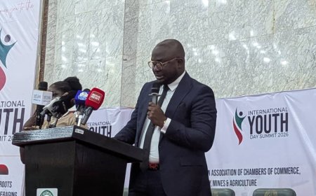 NACCIMA Youth Entrepreneurs, NEXUS Convene 2nd International Youth Day Summit in Abuja
