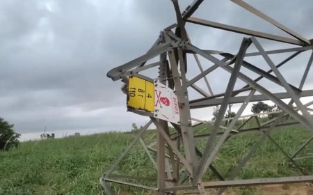 TCN DECLARES FORCE MAJEURE ON 132KV BIRNIN KEBBI–NIAMEY TRANSMISSION LINE OVER TOWER COLLAPSE