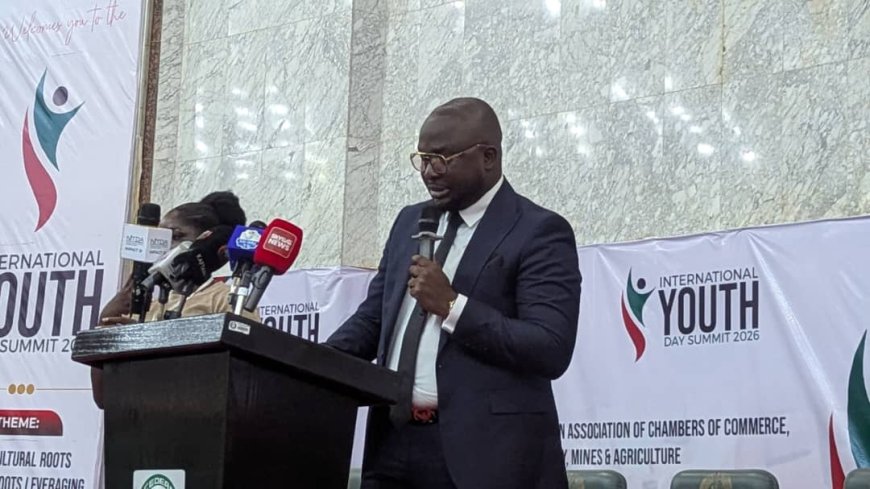 NACCIMA Youth Entrepreneurs, NEXUS Convene 2nd International Youth Day Summit in Abuja