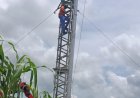 TCN Records Progress in Rehabilitation of Kainji–Birnin Kebbi 330kV Transmission Line